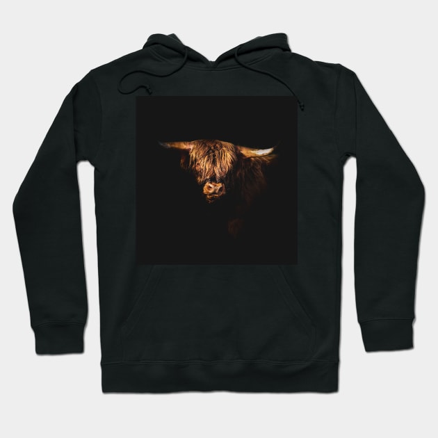 Highland Coo Hoodie by ThistleRosep